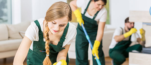 Brasz Cleaning trust and safety